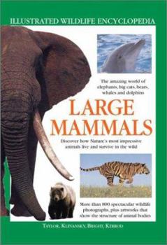Paperback Large Mammals Book