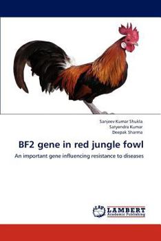 Paperback Bf2 Gene in Red Jungle Fowl Book