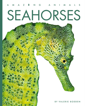 Seahorses - Book  of the Amazing Animals