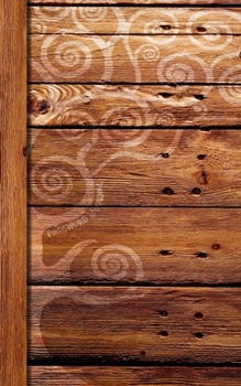 Paperback Password Journal: ID Keeper in a Diary Book to Log 400 Internet Addresses and Security Alphabetically (A spacious, softback mid size not Book