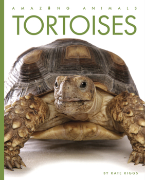 Tortoises - Book  of the Amazing Animals