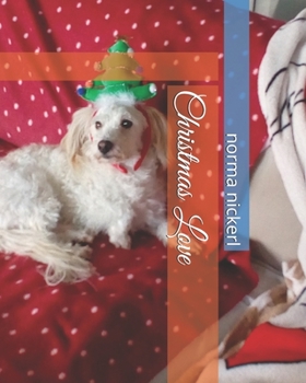 Paperback Christmas Love Book