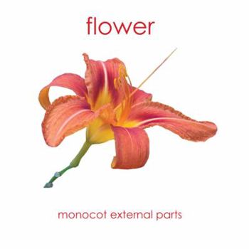 Cards Fish: External Parts Book (External Anatomy of the Fish) Book