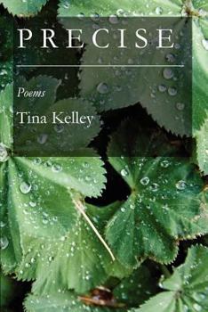 Paperback Precise Book