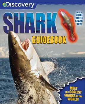 Paperback Discovery Shark Guidebook Book