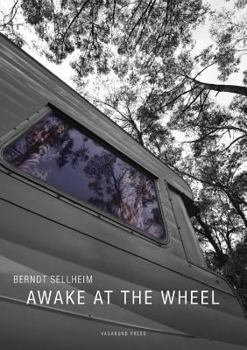 Paperback Awake at the Wheel Book