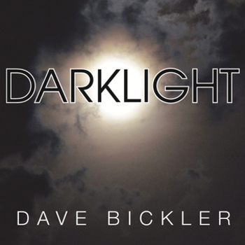 Vinyl Darklight Book