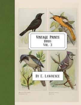 Paperback Vintage Prints: Birds: Vol. 3 Book