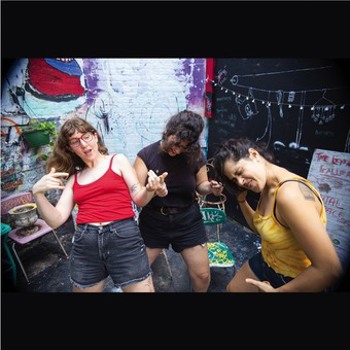 Vinyl Palberta5000 Book