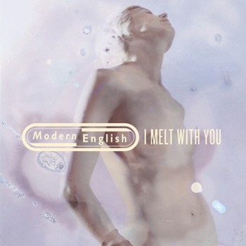 Vinyl I Melt With You Book