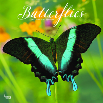 Calendar Butterflies 2023 Square Book