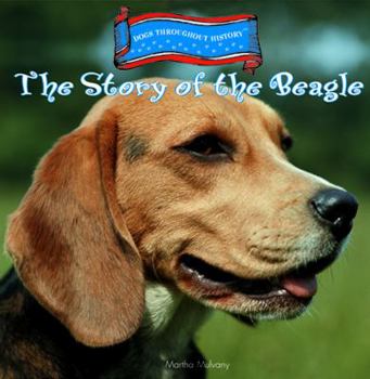 Library Binding The Story of the Beagle Book