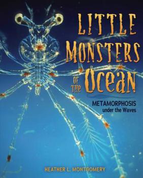 Library Binding Little Monsters of the Ocean: Metamorphosis Under the Waves Book