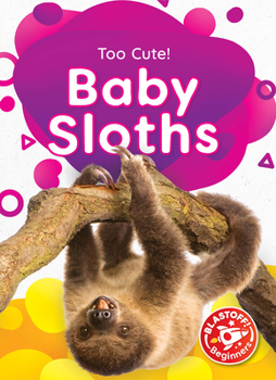 Library Binding Baby Sloths Book