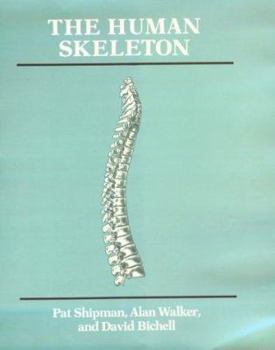 Hardcover The Human Skeleton Book