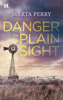 Danger in Plain Sight - Book #3 of the Brotherhood of the Raven