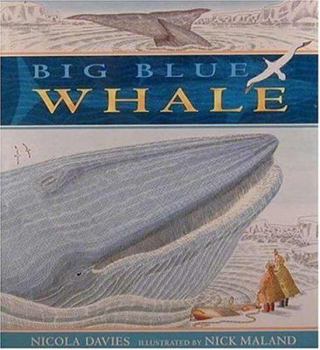 Hardcover Big Blue Whale Book