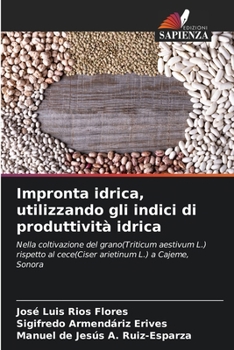 Paperback Impronta idrica, utilizzando gli indici di produttività idrica [Italian] Book