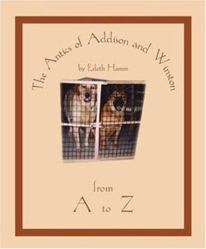 Paperback The Antics of Addison and Winston from A to Z Book