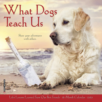 Calendar What Dogs Teach Us 2020 Mini Wall Calendar Book
