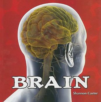 Brain - Book  of the Body Works