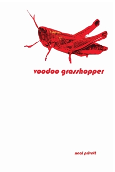 Paperback Voodoo Grasshopper: Stories Book