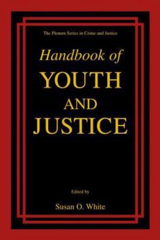 Paperback Handbook of Youth and Justice Book