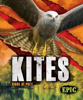 Library Binding Kites: Birds of Prey Book