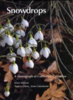 Hardcover Snowdrops: A Monograph of Cultivated Galanthus Book