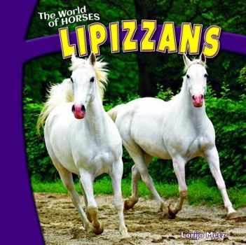 Paperback Lipizzans Book