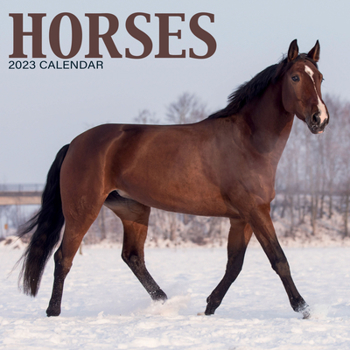 Calendar 2023 Horses Mini Calendar Book