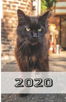 Paperback 2020: Katzenkalender [German] Book