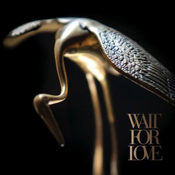 Vinyl Wait for Love Book