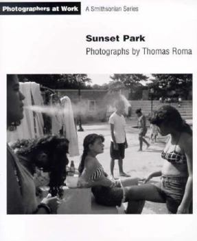 Paperback Sunset Park Book