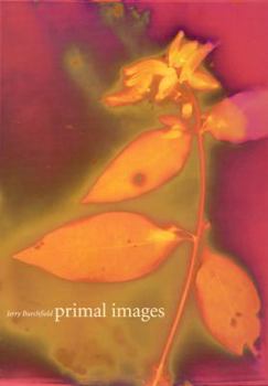 Hardcover Primal Images: 100 Lumen Prints of Amazonia Flora Book