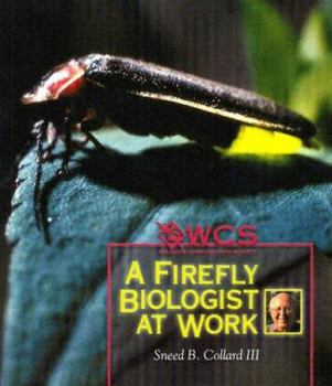 Paperback A Firefly Biologist at Work (Wildlife Conservation Society Books) Book