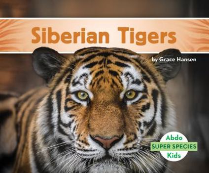 Siberian Tigers - Book  of the Super Species