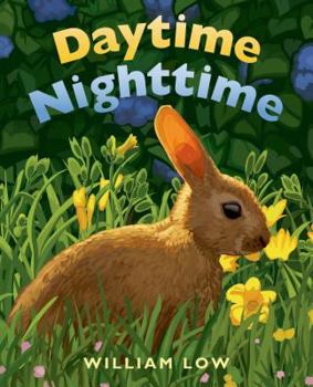 Board book Daytime Nighttime Book