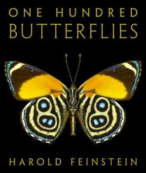 Hardcover One Hundred Butterflies Book