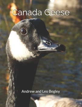 Paperback Canada Geese Book