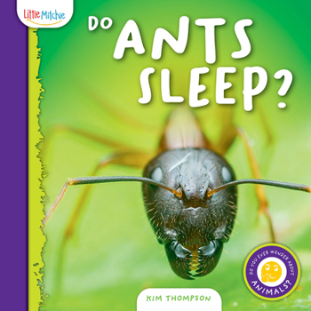 Hardcover Do Ants Sleep? Book