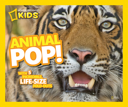 Hardcover Animal Pop!: With 5 Incredible, Life Size Fold-Outs Book