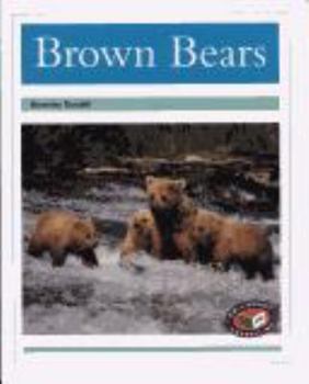Rigby PM Collection: Individual Student Edition Turquoise (Levels 17-18) Brown Bears
