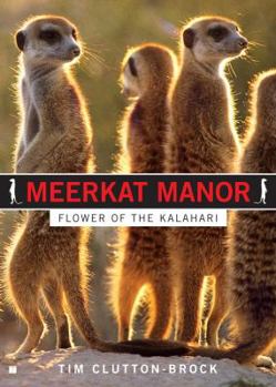 Paperback Meerkat Manor: Flower of the Kalahari Book