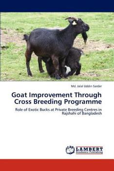 Goat Improvement Through Cross Breeding Programme