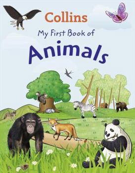 Paperback My First Book of Animals: Which is Your Favourite? Book