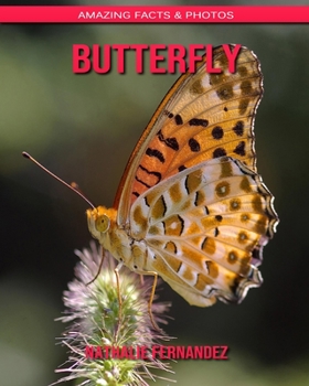 Butterfly: Amazing Facts & Photos