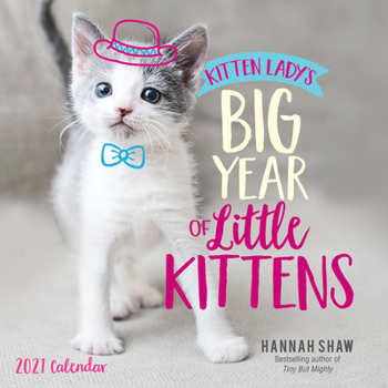 Calendar Kitten Lady's Big Year of Little Kittens 2021 Wall Calendar Book