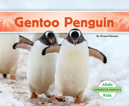 Library Binding Gentoo Penguin Book