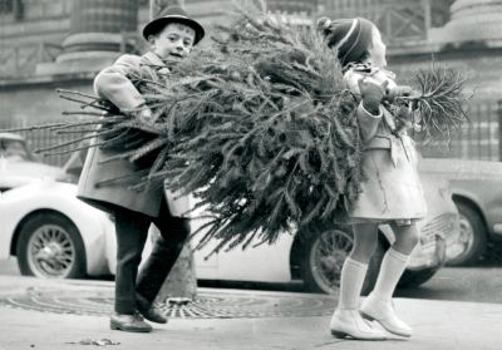 Product Bundle Children Carrying Xmas Tree Boxed Holiday Half Notecards [With 21 Envelopes] Book